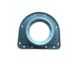 crankshaft oil seal