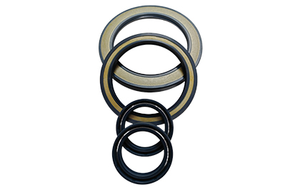 CFW oil seal tcv