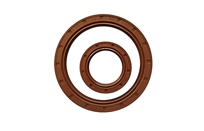 FKM Oil Seal