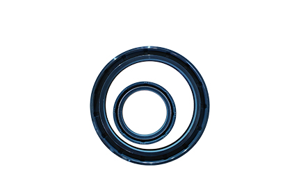 High pressure oil seal