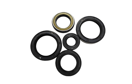 High pressure oil seal