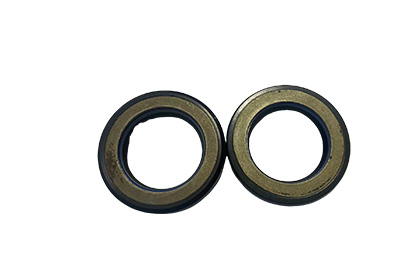 High pressure oil seal