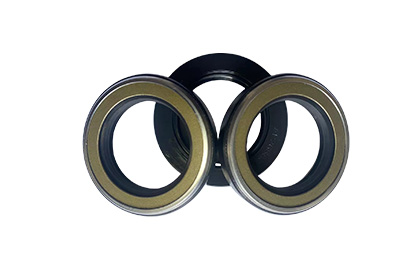 High pressure oil seal