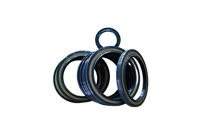 High pressure oil seal