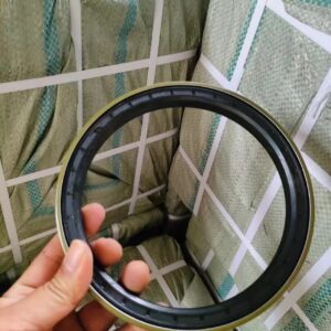 National Hub Oil Seal