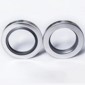 PTFE Oil Seal