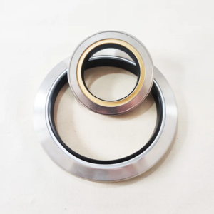 PTFE Oil Seal