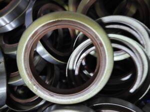 Automobile oil seal