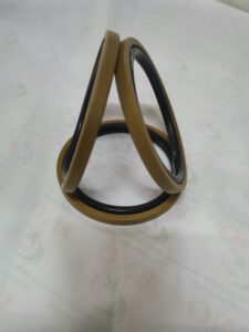Piston Seal