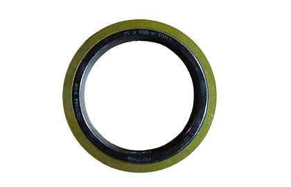 hub oil seal