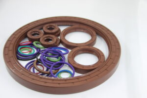 Types of Oil Seals 