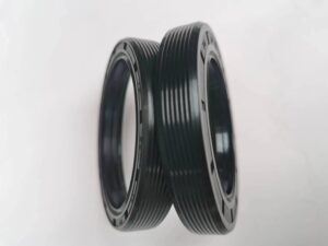 Types of Oil Seals 