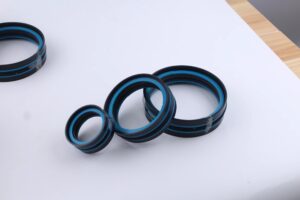 Piston Seal