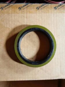 Hub Oil Seal