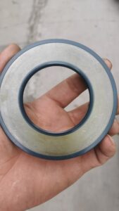 TCV Seal