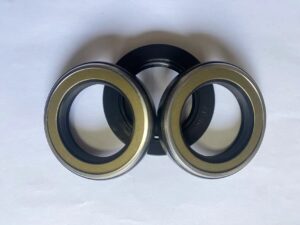 TCN Oil Seal