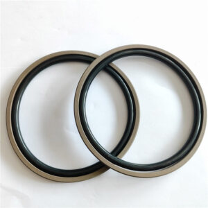 Piston Seal