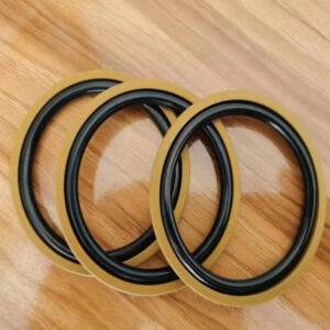 Piston Seal