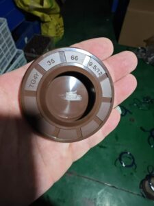 Oil Seal